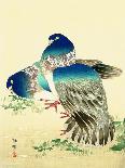 Bairei Gadan - Rooster-Bairei Kono-Framed Giclee Print
