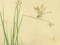 Dragonfly-Bairei Kono-Giclee Print