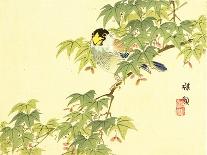 Blue Pigeons-Bairei Kono-Giclee Print