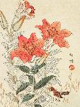 Sparrow and Tiger Lilies-Bairei Kono-Giclee Print