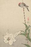 White Heron and Lotus-Baison-Mounted Art Print
