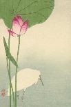 Small Bird on Lily Plant.-Baison-Mounted Art Print