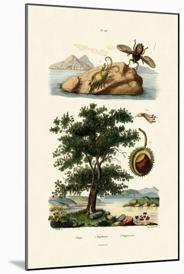 Bait Bug, 1833-39-null-Mounted Giclee Print