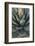 Baja California, Mexico. Green Agave leaves, detail-Judith Zimmerman-Framed Photographic Print