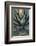 Baja California, Mexico. Green Agave leaves, detail-Judith Zimmerman-Framed Photographic Print