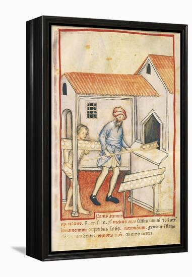 Baker and His Assistant Baking Bread, Miniature by Giovannino De Grassi from the Tacuinum Sanitatis-null-Framed Premier Image Canvas