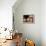 Baker Arranges Breads at His Shop in Kandahar Province, South of Kabul, Afghanistan-null-Framed Premier Image Canvas displayed on a wall