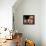 Baker Arranges Breads at His Shop in Kandahar Province, South of Kabul, Afghanistan-null-Framed Premier Image Canvas displayed on a wall