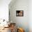 Baker Arranges Breads at His Shop in Kandahar Province, South of Kabul, Afghanistan-null-Framed Premier Image Canvas displayed on a wall