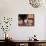 Baker Arranges Breads at His Shop in Kandahar Province, South of Kabul, Afghanistan-null-Photographic Print displayed on a wall