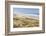 Baker Beach, Oregon, USA. Grassy dunes and a sandy beach on the Oregon coast.-Emily Wilson-Framed Photographic Print