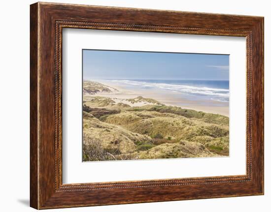 Baker Beach, Oregon, USA. Grassy dunes and a sandy beach on the Oregon coast.-Emily Wilson-Framed Photographic Print