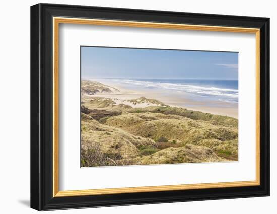 Baker Beach, Oregon, USA. Grassy dunes and a sandy beach on the Oregon coast.-Emily Wilson-Framed Photographic Print