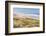 Baker Beach, Oregon, USA. Grassy dunes and a sandy beach on the Oregon coast.-Emily Wilson-Framed Photographic Print