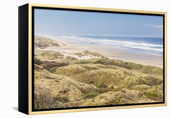 Baker Beach, Oregon, USA. Grassy dunes and a sandy beach on the Oregon coast.-Emily Wilson-Framed Premier Image Canvas