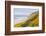 Baker Beach, Oregon, USA. Yellow flowers on hillsides on the Oregon coast.-Emily Wilson-Framed Photographic Print