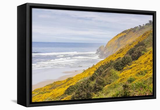 Baker Beach, Oregon, USA. Yellow flowers on hillsides on the Oregon coast.-Emily Wilson-Framed Premier Image Canvas