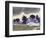 Baker County-William Buffett-Framed Art Print