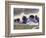 Baker County-William Buffett-Framed Art Print