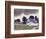 Baker County-William Buffett-Framed Art Print