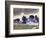 Baker County-William Buffett-Framed Art Print