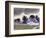 Baker County-William Buffett-Framed Art Print