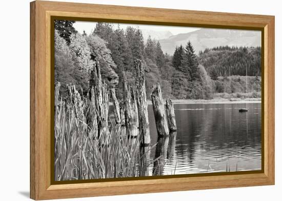 Baker Lake Pilings-Dana Styber-Framed Premier Image Canvas