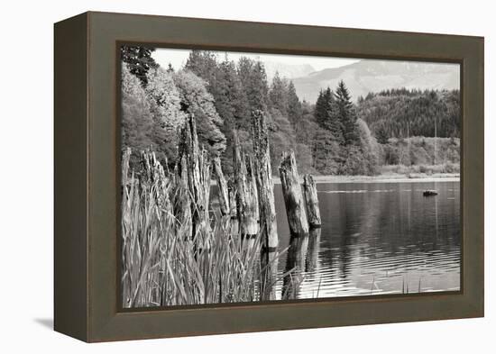 Baker Lake Pilings-Dana Styber-Framed Premier Image Canvas