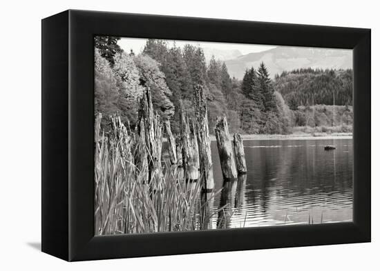 Baker Lake Pilings-Dana Styber-Framed Premier Image Canvas