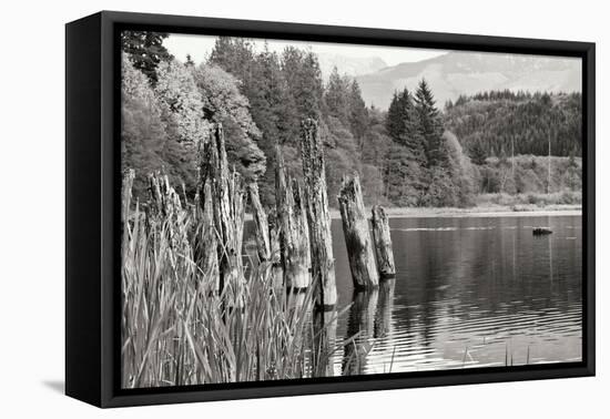 Baker Lake Pilings-Dana Styber-Framed Premier Image Canvas