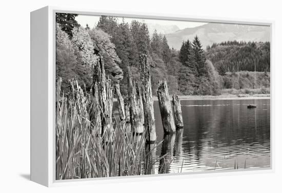 Baker Lake Pilings-Dana Styber-Framed Premier Image Canvas