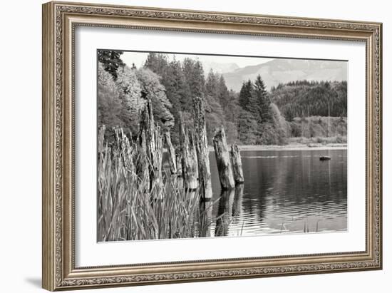 Baker Lake Pilings-Dana Styber-Framed Photographic Print