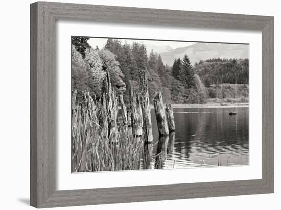 Baker Lake Pilings-Dana Styber-Framed Photographic Print