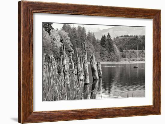 Baker Lake Pilings-Dana Styber-Framed Photographic Print