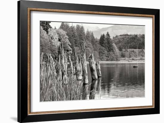 Baker Lake Pilings-Dana Styber-Framed Photographic Print