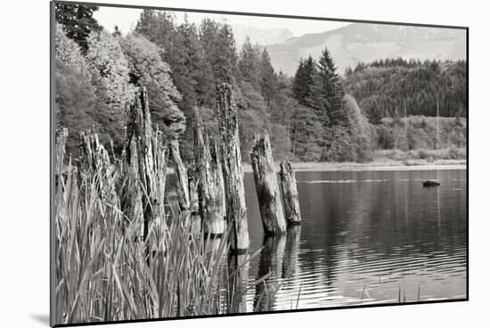 Baker Lake Pilings-Dana Styber-Mounted Photographic Print