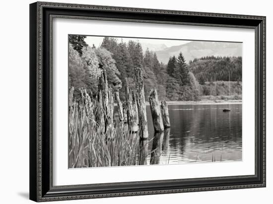 Baker Lake Pilings-Dana Styber-Framed Photographic Print