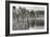 Baker Lake Pilings-Dana Styber-Framed Photographic Print