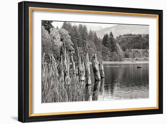 Baker Lake Pilings-Dana Styber-Framed Photographic Print