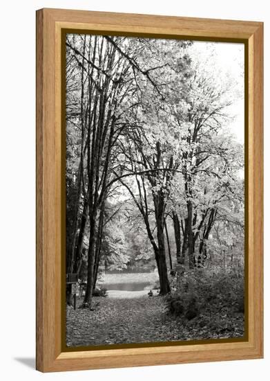 Baker Lake Trail I-Dana Styber-Framed Premier Image Canvas