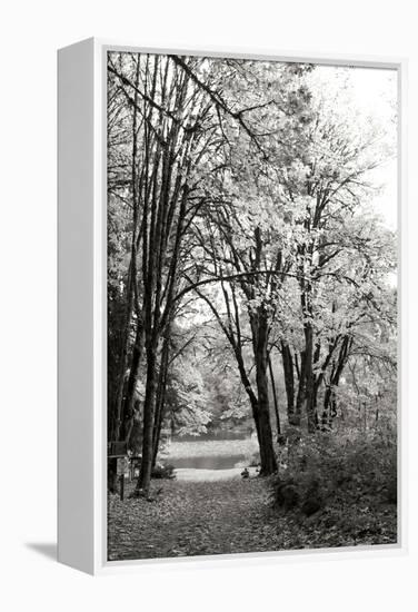 Baker Lake Trail I-Dana Styber-Framed Premier Image Canvas