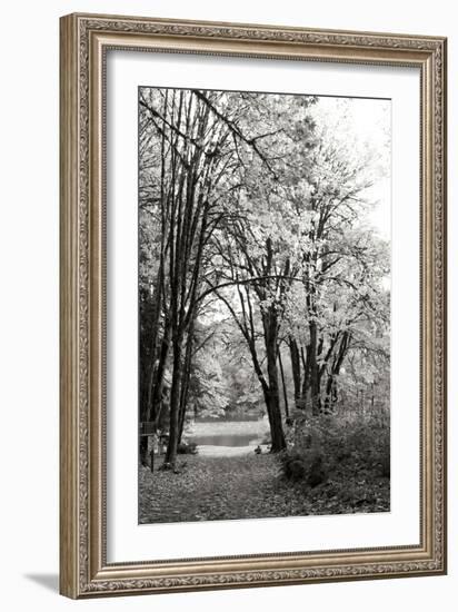 Baker Lake Trail I-Dana Styber-Framed Photographic Print