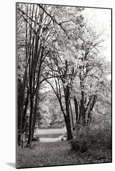 Baker Lake Trail I-Dana Styber-Mounted Photographic Print