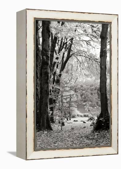 Baker Lake Trail II-Dana Styber-Framed Premier Image Canvas