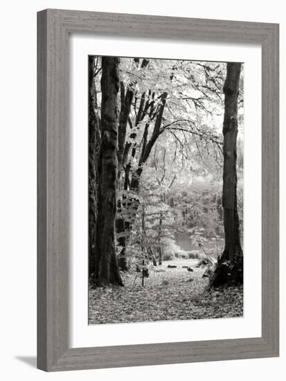 Baker Lake Trail II-Dana Styber-Framed Photographic Print