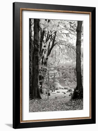 Baker Lake Trail II-Dana Styber-Framed Photographic Print