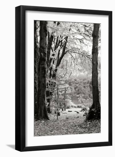 Baker Lake Trail II-Dana Styber-Framed Photographic Print