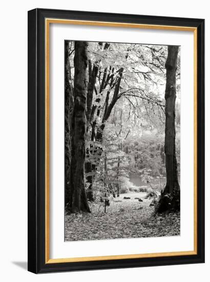 Baker Lake Trail II-Dana Styber-Framed Photographic Print
