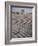 Bakersfield Junior College: Cheerleaders Practicing for Football Rally-Ralph Crane-Framed Photographic Print