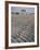 Bakersfield Junior College: Cheerleaders Practicing for Football Rally-Ralph Crane-Framed Photographic Print